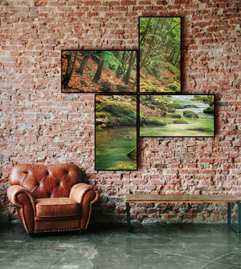 VideoPlex Application Image 1 newimage1