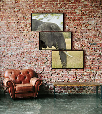 VideoPlex Application Image 3 newimage3