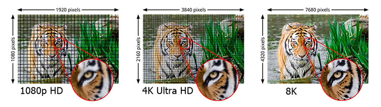 Figure-1_8K-resolution-demonstration Figure-1_8K-resolution-demonstration