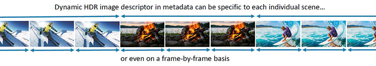 Figure_3_Dynamic-Metadata Figure_3_Dynamic-Metadata