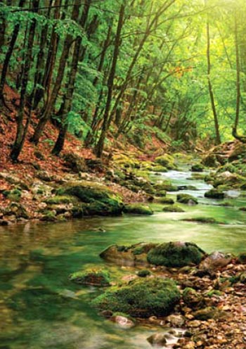 rohs-lifestyle-image rohs-lifestyle-image